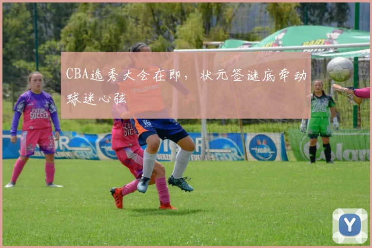 CBA选秀大会在即，状元签谜底牵动球迷心弦