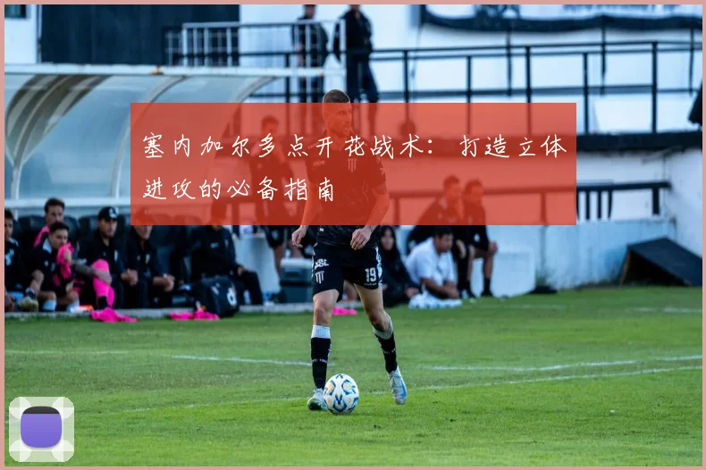 塞内加尔多点开花战术：打造立体进攻的必备指南